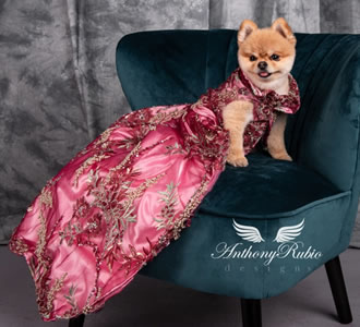 Vestido para perro del diseñador Anthony Rubio