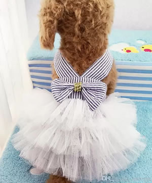 Vestido de verano para mascotas